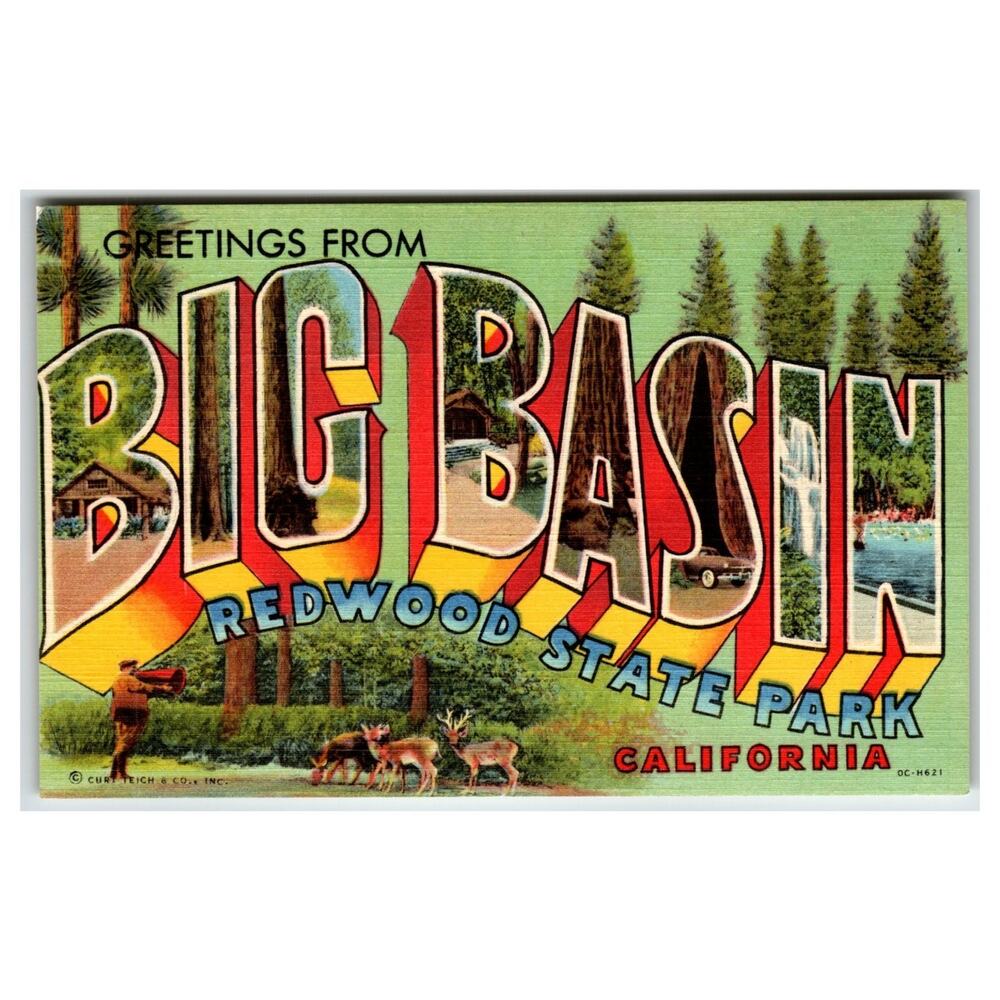 Greetings From Big Basin Redwood State Park California Large Letter Postcard